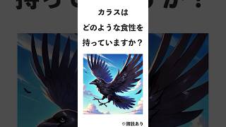 鳥クイズ　カラス編　PART2　みんなはわかるかな？　#クイズ  #なぞなぞ #鳥 #鳥ライフ #カラス #鴉