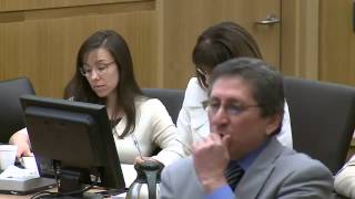 Jodi Arias Trial - Day 36 - Part 1