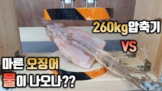 마른오징어를 압축기에 넣으면!? 물이 나오나??