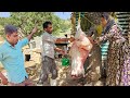 Eid al-Adha in Leila’s Village 🐏 | Selling Lambs, Family Gathering & Sharing the Sacrifice
