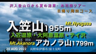 山野草の楽園 入笠山・大阿原湿原・テイ沢・アカノラ山（長野県富士見町）