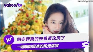 劉亦菲真的去看黃玫瑰了 一場觸動靈魂的視覺盛宴【Yahoo TV #娛樂星聞】#劉亦菲