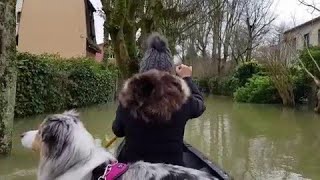 Nogent-sur-Marne : les images de la crue à hauteur de canoë