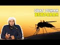 dr Zaidul Akbar - Obat demam berdarah