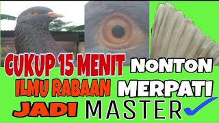 ILMU RABAAN MERPATI#merpati#merpatikolong #merpatiposindonesia