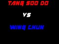 tang soo do vs wing chun me vs sifu jerry