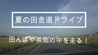 【癒しの田舎道ドライブ】静岡県の磐田～浅羽～袋井エコパまで　田んぼ～橋～茶畑～トンネル～エコパ