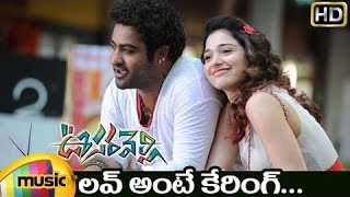 Love Ante Caring Telugu Video Song | Oosaravelli Telugu Movie Video Songs | Jr NTR | Tamanna | DSP