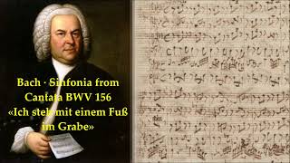 Bach: Sinfonia BWV 156 [Golden Meantone]