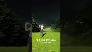 250m가 꿈인 아마추어#필드 드라이버 스윙