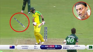 Top 10 Best Toe Crushing Yorkers In Cricket History Ever | Cricket Hub