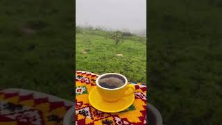 THE MOST BEAUTIFUL CITY IN OMAN | SALALAH, OMAN 🇴🇲