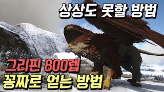 800렙 그리핀을 꽁짜로 얻는 방법 [ 아크 비공식 PVP 랑께서버 EP.8 ]