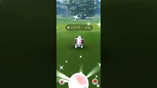 【ポケモンGO】 ココドラ（色違い） 捕獲動画！！！