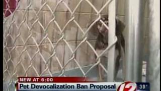 Lawmakers fight to end the pet de-vocalization