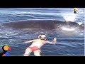 Family Rescues Whale Tangled In Net  | The Dodo