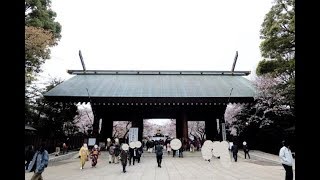 【4K散歩動画】Cherry Blossoms Yasukuni Shrine 桜吹雪　靖国神社　　桜並木　散歩 YI4＋で撮影４K60p