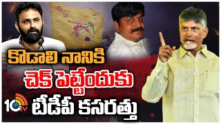 కొడాలి నానికి చెక్ పెట్టేందుకు టీడీపీ కసరత్తు | TDP Focus On Kodali Nani | 10TV