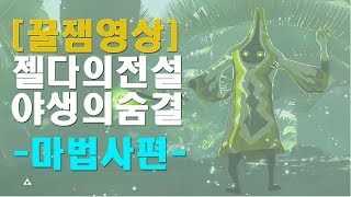 [꿀잼영상] 젤다의전설 야생의숨결 - 마법사에게 빡친 당신에게