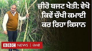 Zero Budget Farming: ਪਿਛਲੇ 18 ਸਾਲਾਂ ਤੋਂ 20 ਏਕੜ ਵਿੱਚ ਜੀਰੋ ਬਜਟ ਖੇਤੀ ਕਰਦੇ ਕਿਸਾਨ ਨੂੰ ਮਿਲੋ | 𝐁𝐁𝐂 𝐏𝐔𝐍𝐉𝐀𝐁𝐈