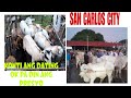 July 13, 2024 Update  Presyo ng Baka at Kambing  sa San Carlos Livestock Market in Pangasinan #cow