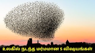 உலகில் நடந்த மர்மமான 5 விஷயங்கள்! | Top 5 Most Mysterious Events In The World