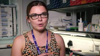 Sophie Acton - Group Leader, CRUK Fellow - UCL MRC LMCB