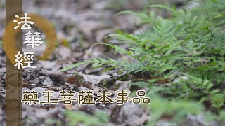 【靜思妙蓮華】 法華經 藥王菩薩本事品 - 安隱快樂 寂靜妙常 - 第1814集 20241125