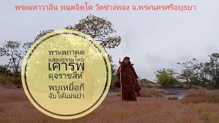 พระตถาคตแสดงธรรมโดยเคารพ ดุจราชสีห์พบเหยื่อก็จับไดัแม่นยำ