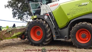 Claas - Fendt - Hawe - Cat - Iveco / Maissilage - Silaging Maize  2024