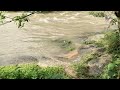 beautiful temple and river ശ്രീ ആയിരവല്ലി തമ്പുരാൻ പാറ ക്ഷേത്രം. മൂന്നാംമൂട് വട്ടിയുർകാവ്