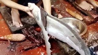 How to fish cutting skills | amazing fish cutting skills | বড় চিতল মাছ কিভাবে কাটে