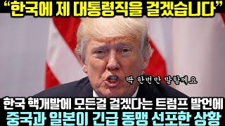 한국 핵개발에 모든걸 걸겠다는 트럼프 발언에 중국과 일본이 긴급 동맹 선포한 상황