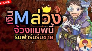 เงินเอ็มร่วง เกิดอะไรขึ้น แล้วเราต้องทำยังไง Live 582 | Ragnarok Classic (ROC)