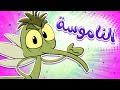 marah tv - قناة مرح| أغنية الناموسة