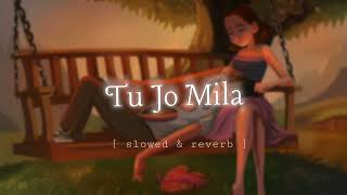 Tu Jo Mila [ slowed & reverb ] | lofi song | Hindi Lofi |