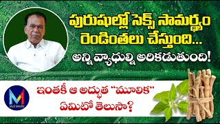 పురుషుల్లో సెక్స్ సామర్థ్యం రెండింతలు చేస్తుంది | Ashwagandha అశ్వగంధ | My3