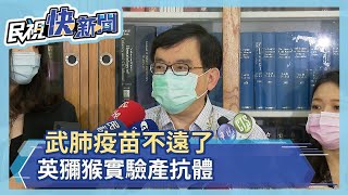 武肺疫苗不遠了 英獼猴實驗產抗體－民視新聞