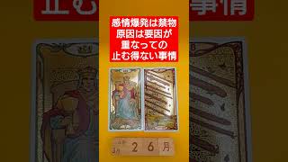 おみくじ的タロット占い「感情爆発の恐れあり、いろいろな要因が重なっての止む得ない事情」