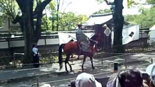 yabusame exhibition in Kamakura  流鏑馬、鎌倉の鶴岡八幡宮にて。