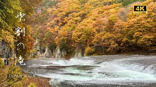 【紅葉と滝の絶景】東洋のナイアガラ「吹割の滝」を散歩