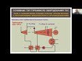 Часть 4 Нормирование показателей тепловой экономичности оборудования ТЭС турбины блок 2