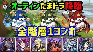 【パズドラ】オーディンたまドラ降臨周回編成～ヴェロア×イナ～【メダル集め】【改良版】