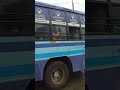 ooty local bus with new colour painting tn 43 n 0523 hills queen queen of hill s