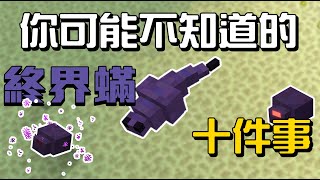 你可能不知道的終界蟎10件事!!!【秋風麥塊生物學】