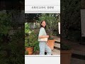 engsub 지금 날씨에 딱 입기 좋은 패션 jisoo seulgi 코디