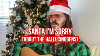 Santa I’m Sorry (About the Hallucinogens) - Waylon Napadogan