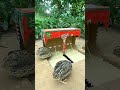 Simple Quail Trap Using Cardboard Box #shorts