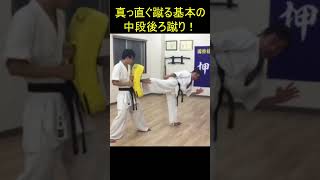 真っ直ぐ蹴る基本の中段後ろ蹴り蹴り方解説#japanesemartialarts#Kyokushin#KENSEIKAN#KARATE#Blackbelt#karate girl