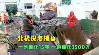 北极深海捕鱼，出海一趟带回3500万，船员一个月工资超过7000欧